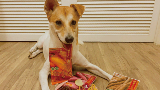 Read more about the article 【讓汪汪開始愛上菜菜🥦】 DoggyMan 犬用野菜零食