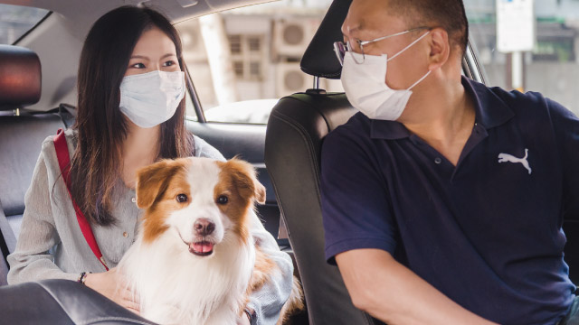 Read more about the article 【Uber Pet 毛孩優步上線囉】跟寶貝一起搭車不是夢🐕🚶‍♀