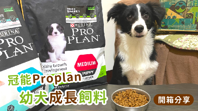 Read more about the article 好評推薦！【初乳營養 冠能Proplan幼犬幼貓成長飼料】