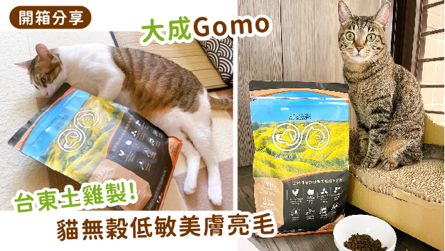 Read more about the article 【台灣在地生產最新鮮✨】GOMO大成鮮肉貓咪無穀飼料🐱