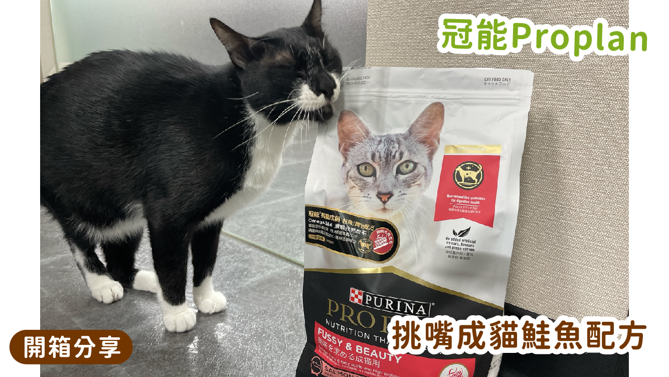Read more about the article 【Omega3,6添加】冠能挑嘴貓鮭魚潤毛配方🐱