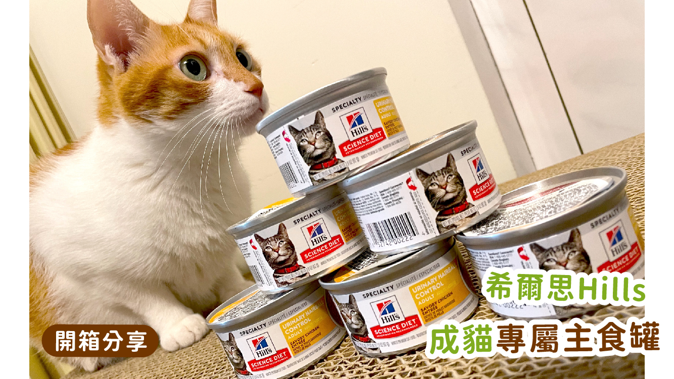 Read more about the article 【營養好吃機能強大】希爾思Hills成貓主食罐🐱