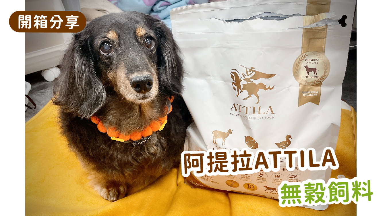 Read more about the article 【85%動物性蛋白🍖】阿提拉狗貓無穀飼料