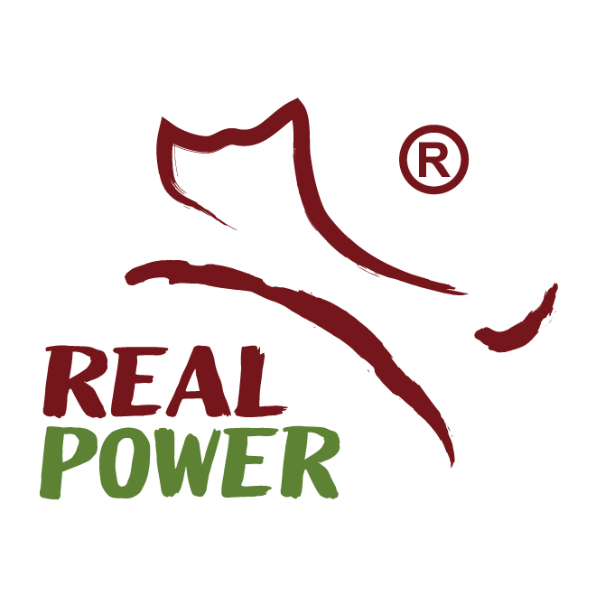 瑞威 Real Power