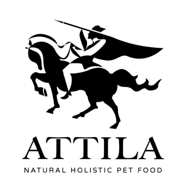 阿提拉 ATTILA