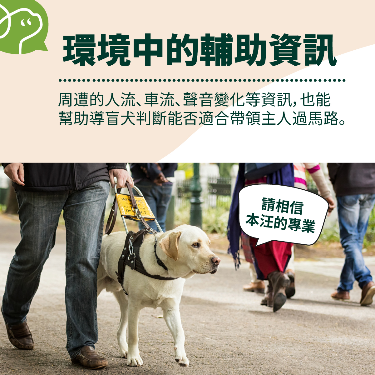 周遭的人流、車流、聲音變化等資訊，也能
幫助導盲犬判斷能否適合帶領主人過馬路。