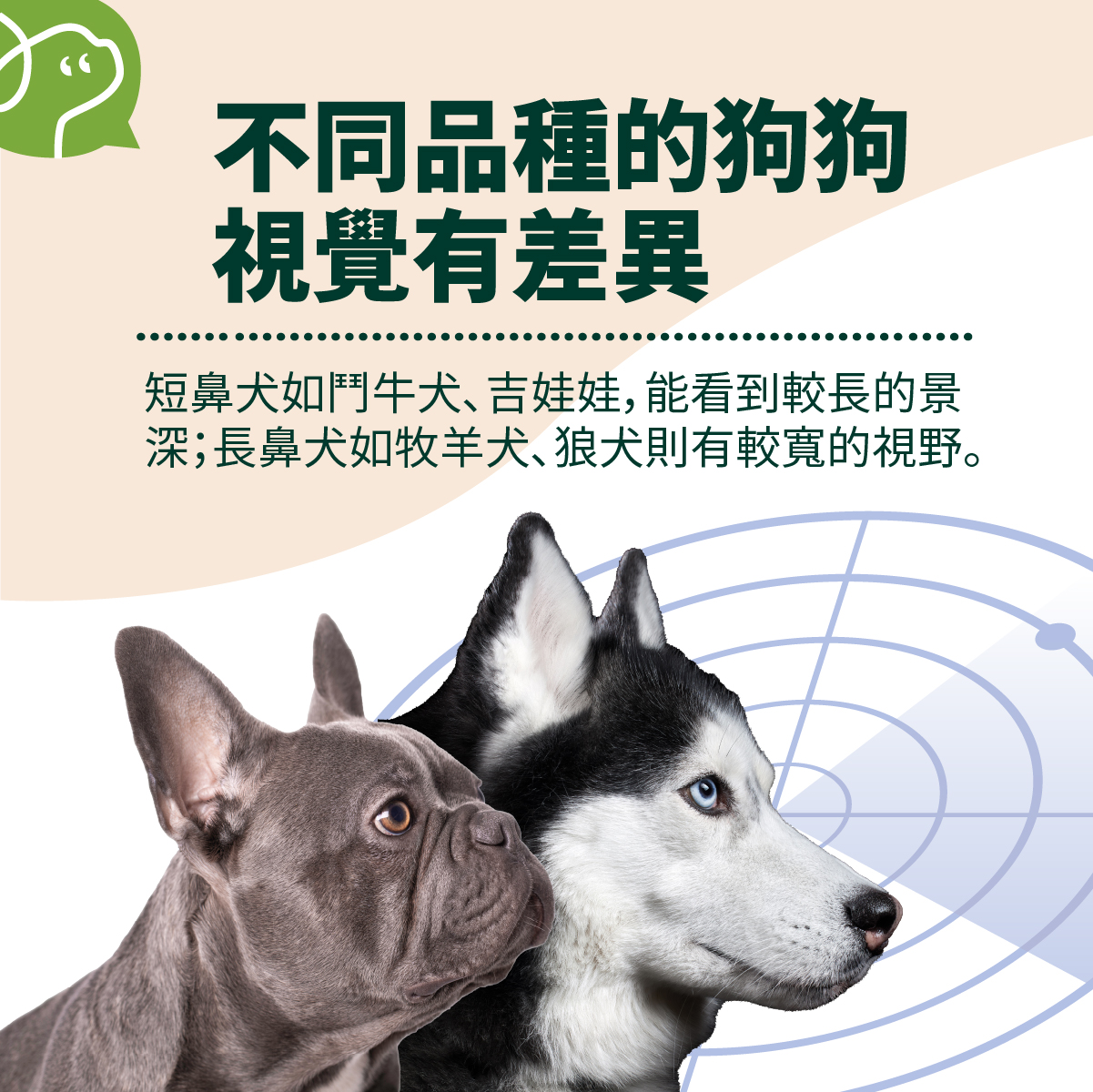 短鼻犬如鬥牛犬、吉娃娃，能看到較長的景
深；長鼻犬如牧羊犬、狼犬則有較寬的視野。