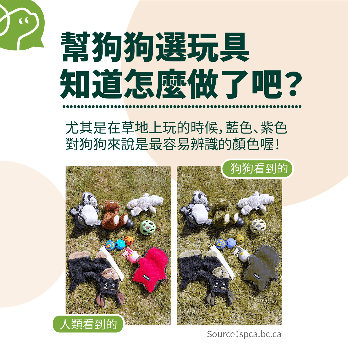 尤其是在草地上玩的時候，藍色、紫色
對狗狗來說是最容易辨識的顏色喔！