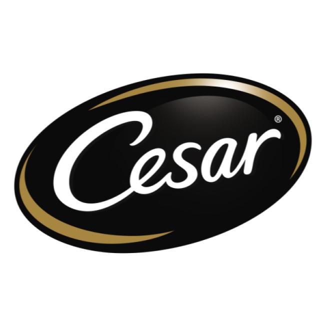 Cesar 西莎