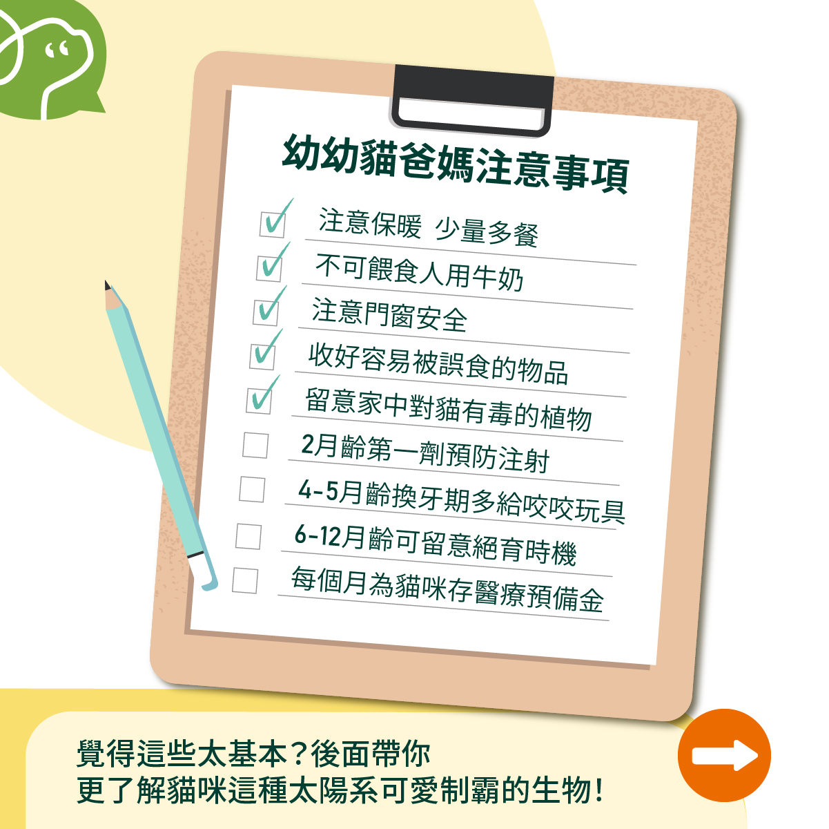 照顧幼貓注意事項