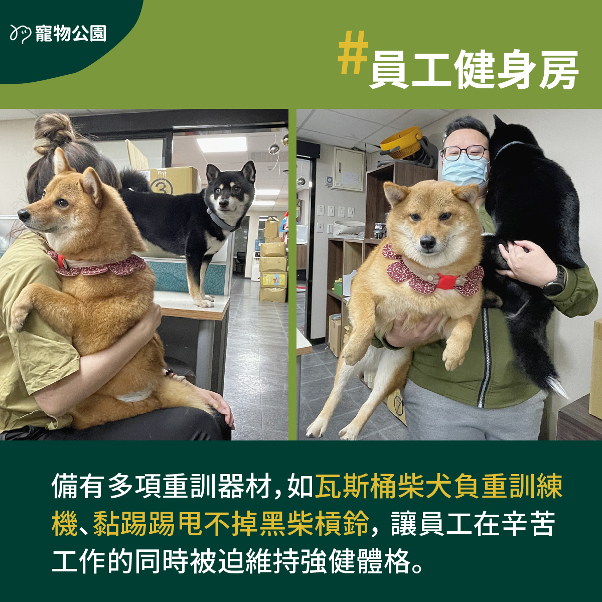 備有多項重訓器材，如：瓦斯桶柴犬負重訓練機、黏踢踢甩不掉黑柴槓鈴， 讓員工在辛苦工作的同時被迫維持強健體格。