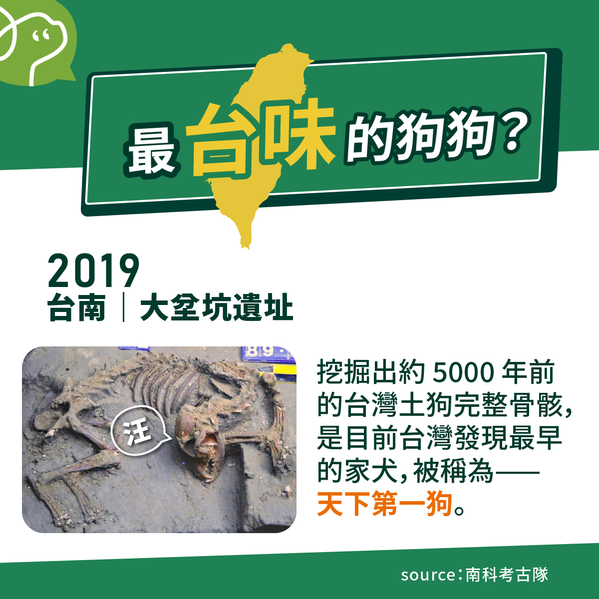 台南大坌坑遺址挖掘出約 5000 年前的台灣土狗完整骨骸，是目前台灣發現最早的家犬，被稱為——天下第一狗。