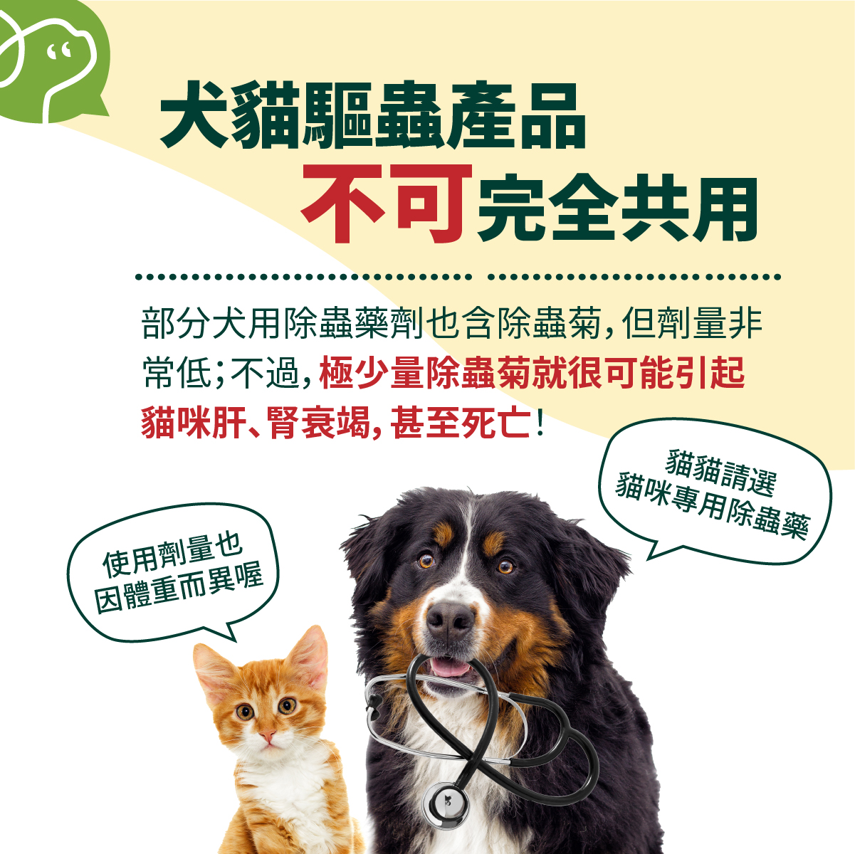 部分犬用除蟲藥劑也含除蟲菊，但劑量非常低；不過，極少量除蟲菊就很可能引起貓咪肝、腎衰竭，甚至死亡！