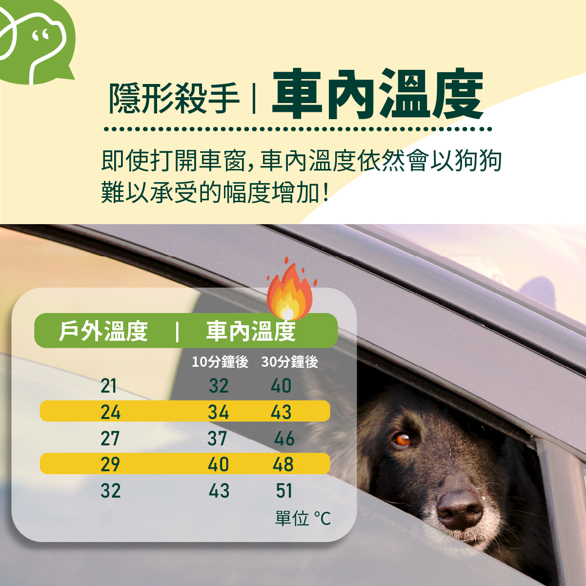 即使打開車窗，車內溫度依然會以狗狗難以承受的幅度增加！