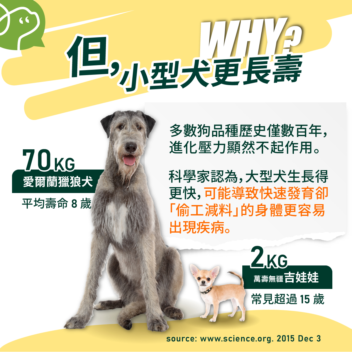 科學家認為，大型犬生長得更快，可能導致快速發育卻「偷工減料」的身體更容易出現疾病。多數狗品種歷史僅數百年，進化壓力顯然不起作用。