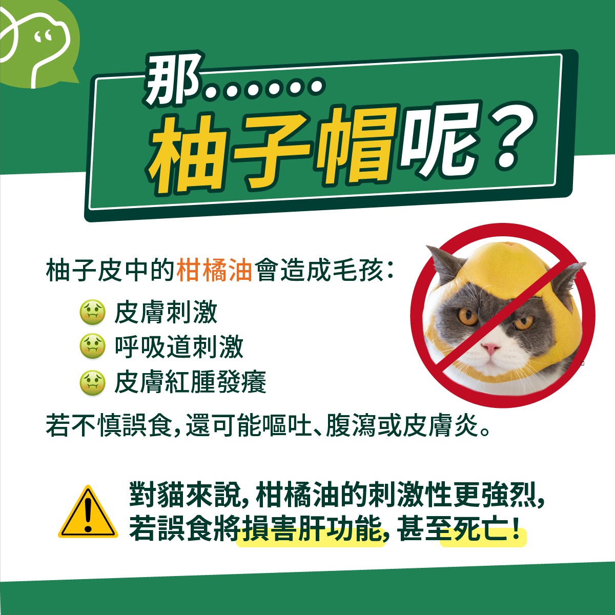 柚子皮中的柑橘油會造成毛孩：皮膚刺激、呼吸道刺激。若不慎誤食，還可能嘔吐、腹瀉或皮膚炎。對貓來說，柑橘油的刺激性更強烈，若誤食將損害肝功能，甚至死亡！

