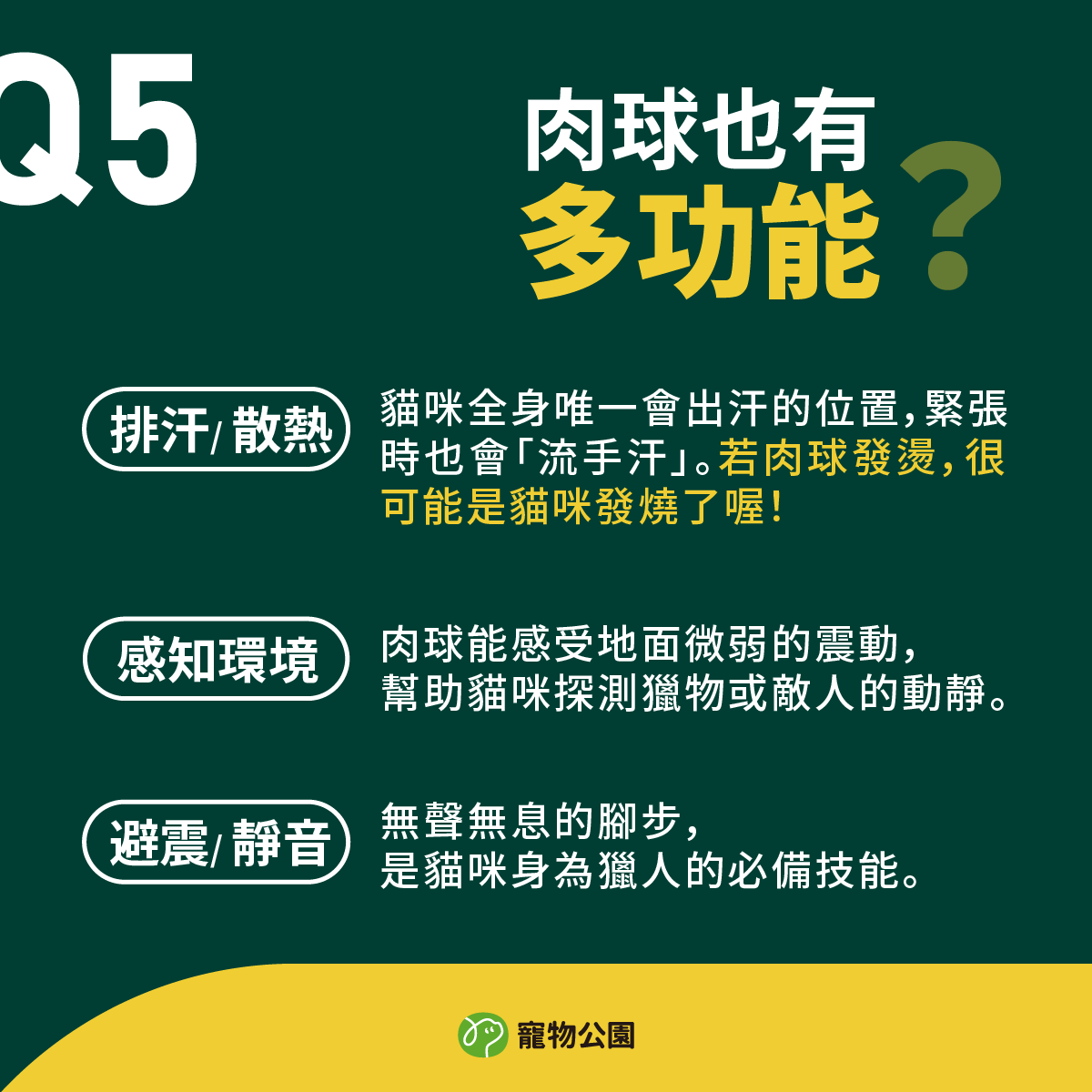 貓咪全身唯一會出汗的位置，緊張時也會「流手汗」。若肉球發燙，很可能是貓咪發燒了喔！肉球能感受地面微弱的震動，幫助貓咪探測獵物或敵人的動靜。