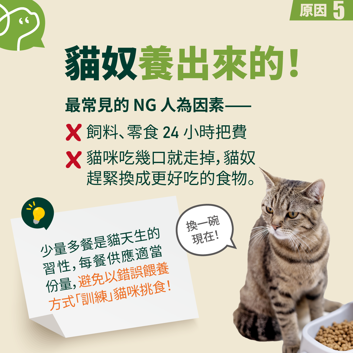 最常見的 NG 人為因素——飼料、零食 24 小時把費。貓咪吃幾口就走掉，貓奴
趕緊換成更好吃的食物。 


