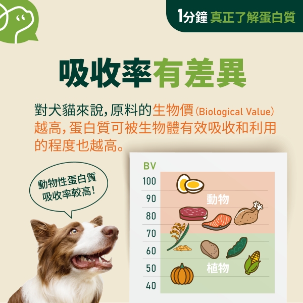 對犬貓來說，原料的生物價（Biological Value）越高，蛋白質可被生物體有效吸收和利用的程度也越高。