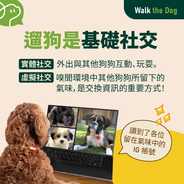 你知道嗎？不溜狗是犯法的！ | 寵物公園PetPark