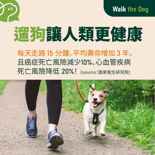 遛狗讓人類更健康：每天走路 15 分鐘，平均壽命增加 3 年。且癌症死亡風險減少10%、心血管疾病死亡風險降低 20%！

